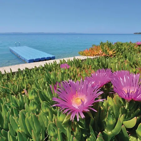 Gorgeous In With Wifi Διαμέρισμα