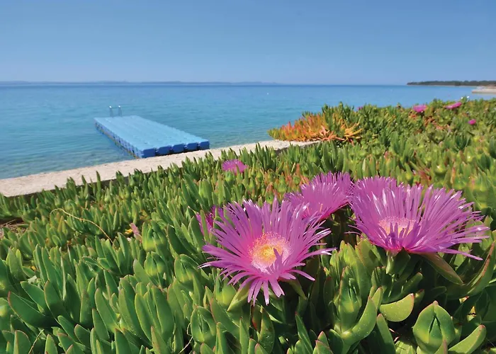 Gorgeous In With Wifi Διαμέρισμα